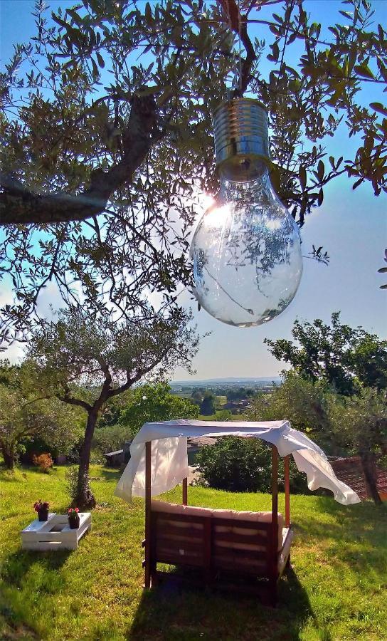 La Casa Tra Gli Ulivi Bed & Breakfast Cortona Dış mekan fotoğraf