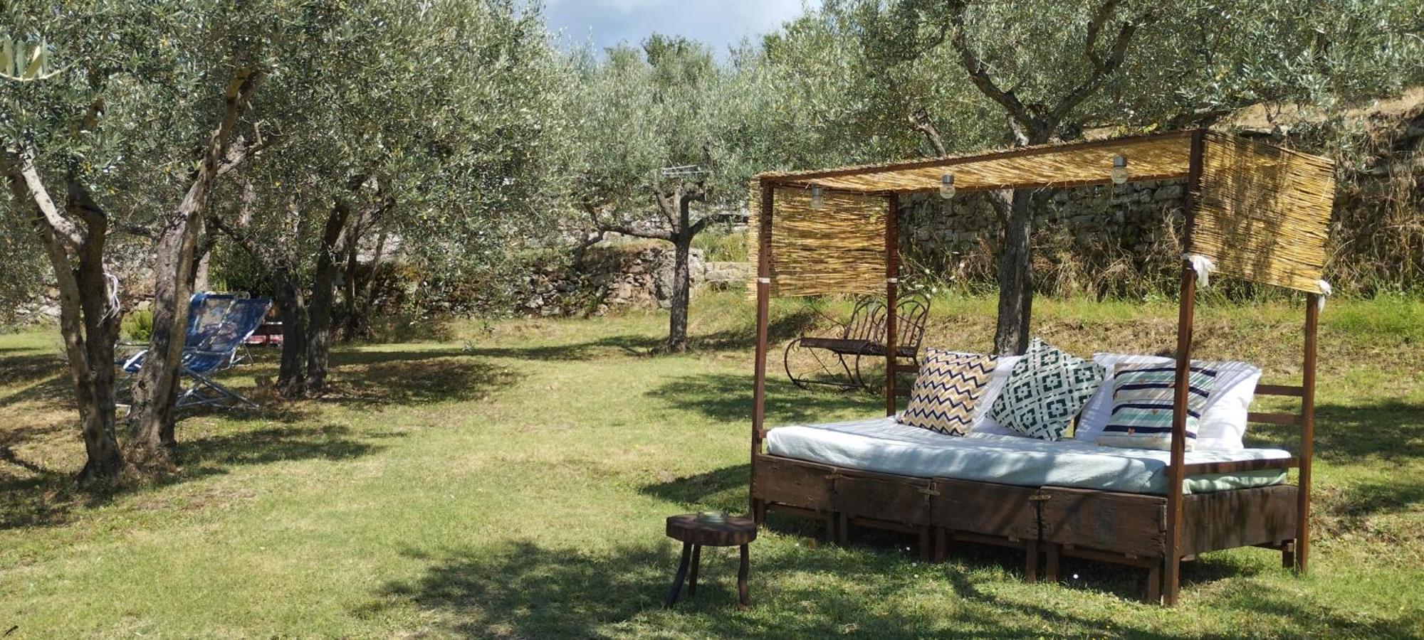 La Casa Tra Gli Ulivi Bed & Breakfast Cortona Dış mekan fotoğraf