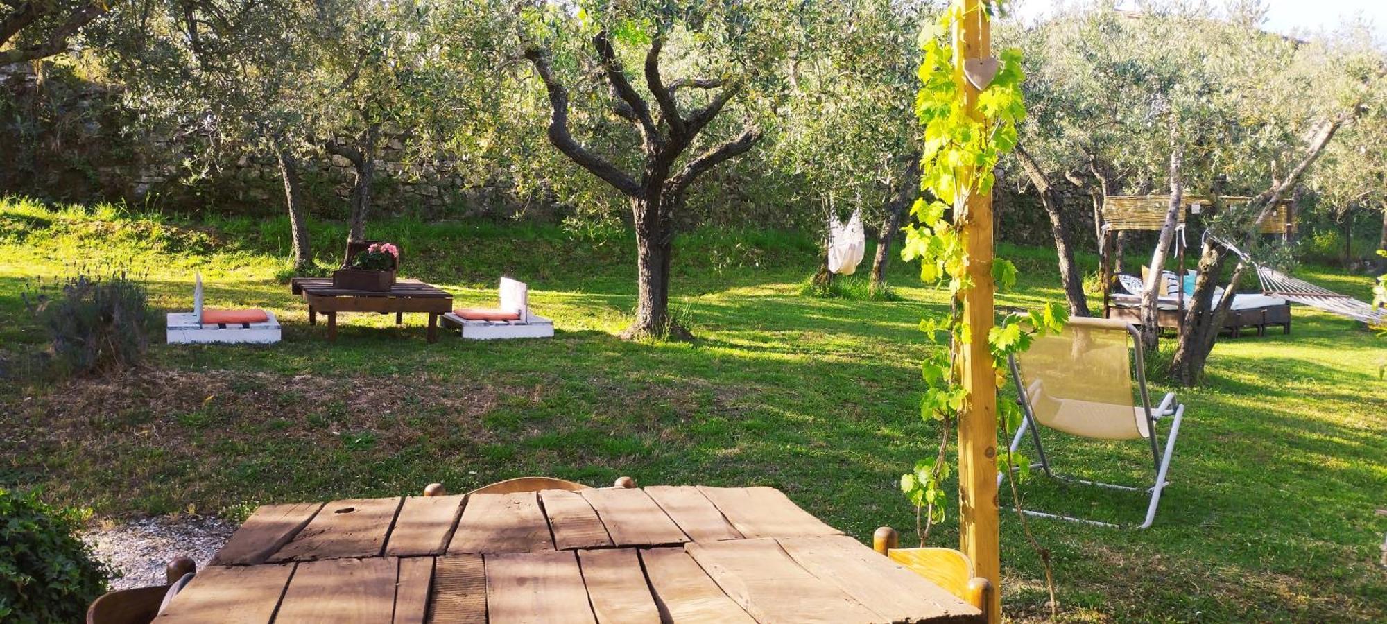 La Casa Tra Gli Ulivi Bed & Breakfast Cortona Dış mekan fotoğraf